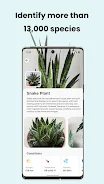 PlantCam: AI Plant Identifier スクリーンショット 2