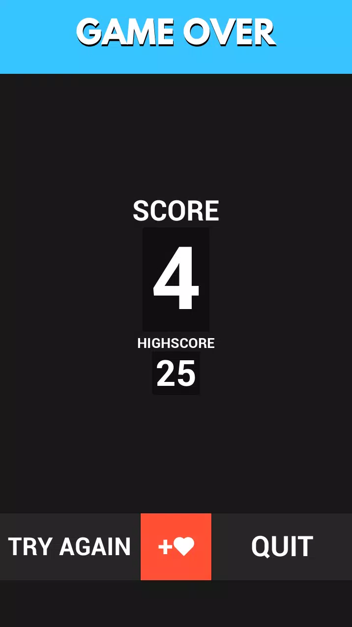 FLAG GUESSER スクリーンショット 2