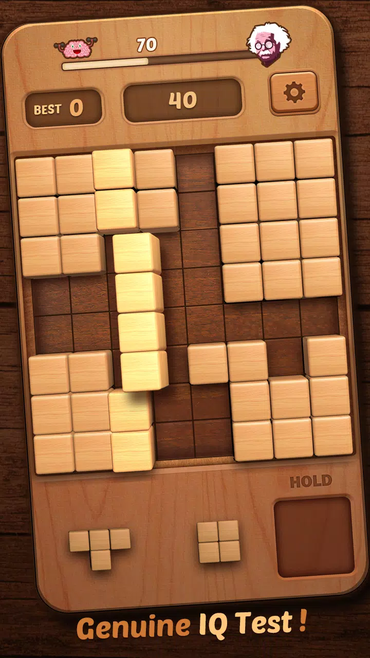 Wood Block Puzzle 3D Ekran Görüntüsü 3