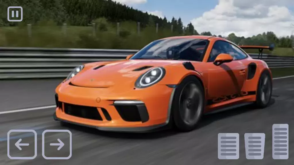 Racing Porsche Carrera 911 GT3 स्क्रीनशॉट 0