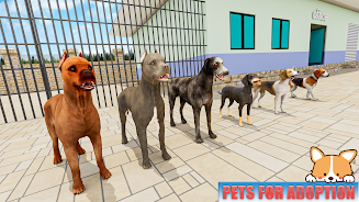 Animal Shelter: Pet World Game Screenshot 1