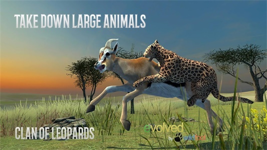 Clan of Leopards Capture d'écran 2