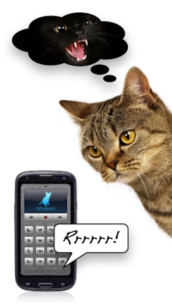 Human-to-Cat Translator ภาพหน้าจอ 2