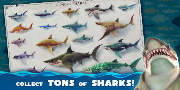 image:Hungry Shark World Accessories