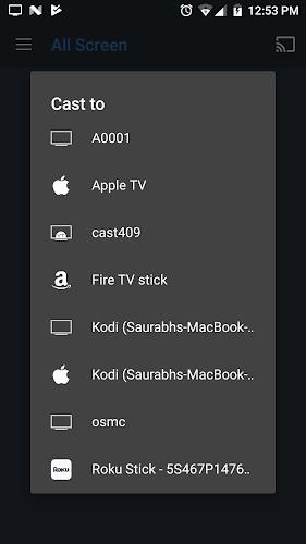 All Screen Cast to TV Roku Screenshot 2