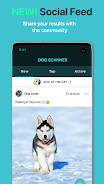 Dog Scanner: Breed Recognition ဖန်သားပြင်ဓာတ်ပုံ 3