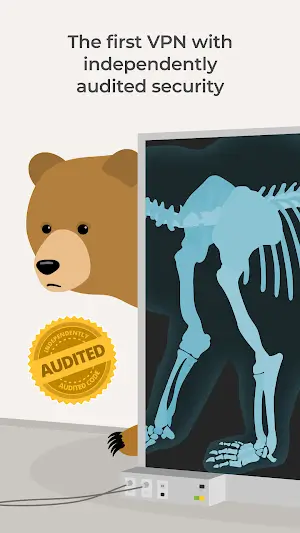 TunnelBear VPN Ảnh chụp màn hình 3