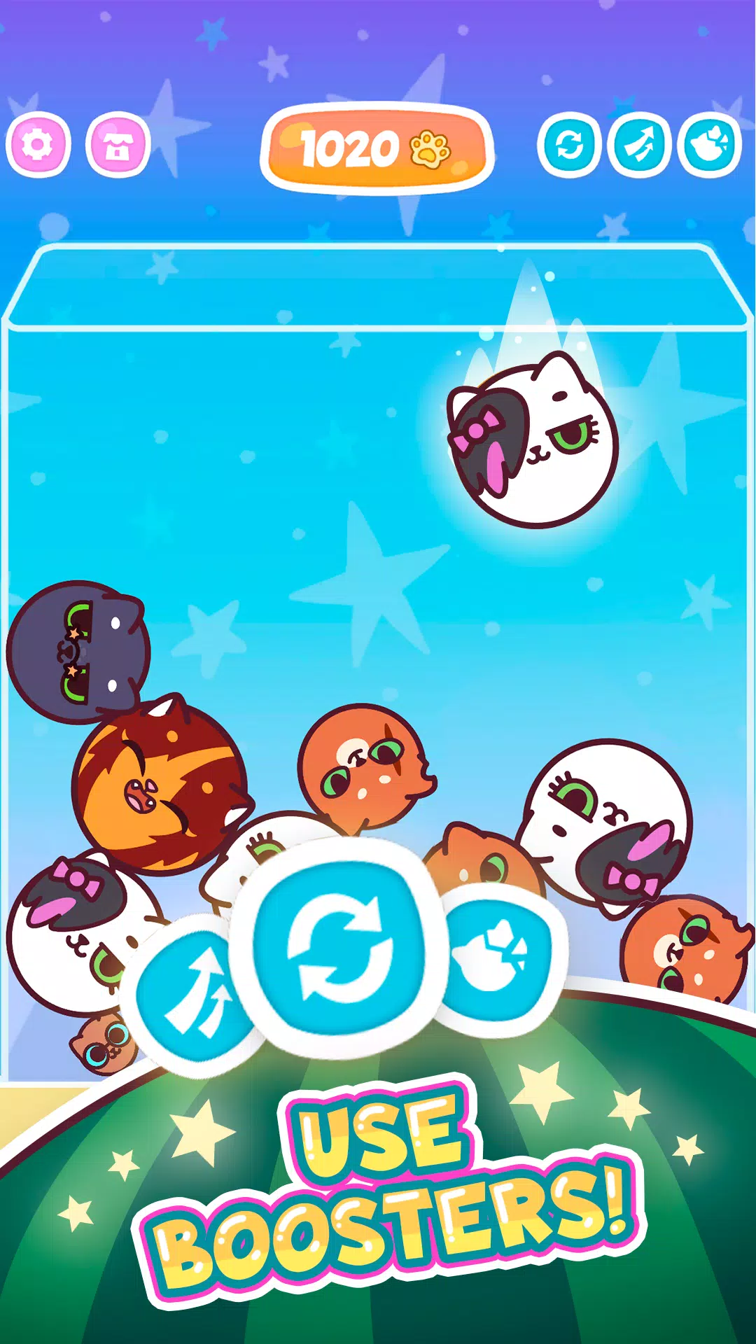 Watermelon Cats Captura de tela 1