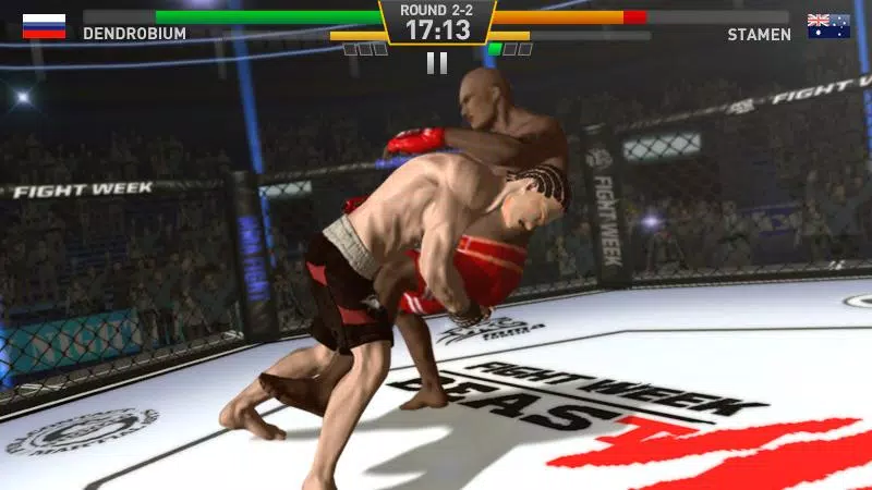 Fighting Star應用截圖第3張