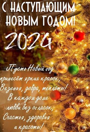 С новым годом 2024应用截图第1张