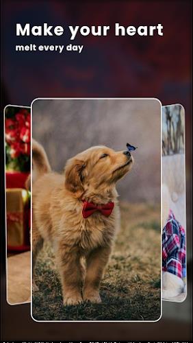 Puppy Love: Cute Dog Wallpaper ဖန်သားပြင်ဓာတ်ပုံ 2