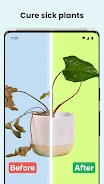 PlantCam: AI Plant Identifier スクリーンショット 3