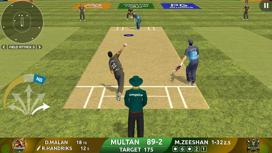 Cricket Game: Pakistan T20 Cup Captura de tela 1