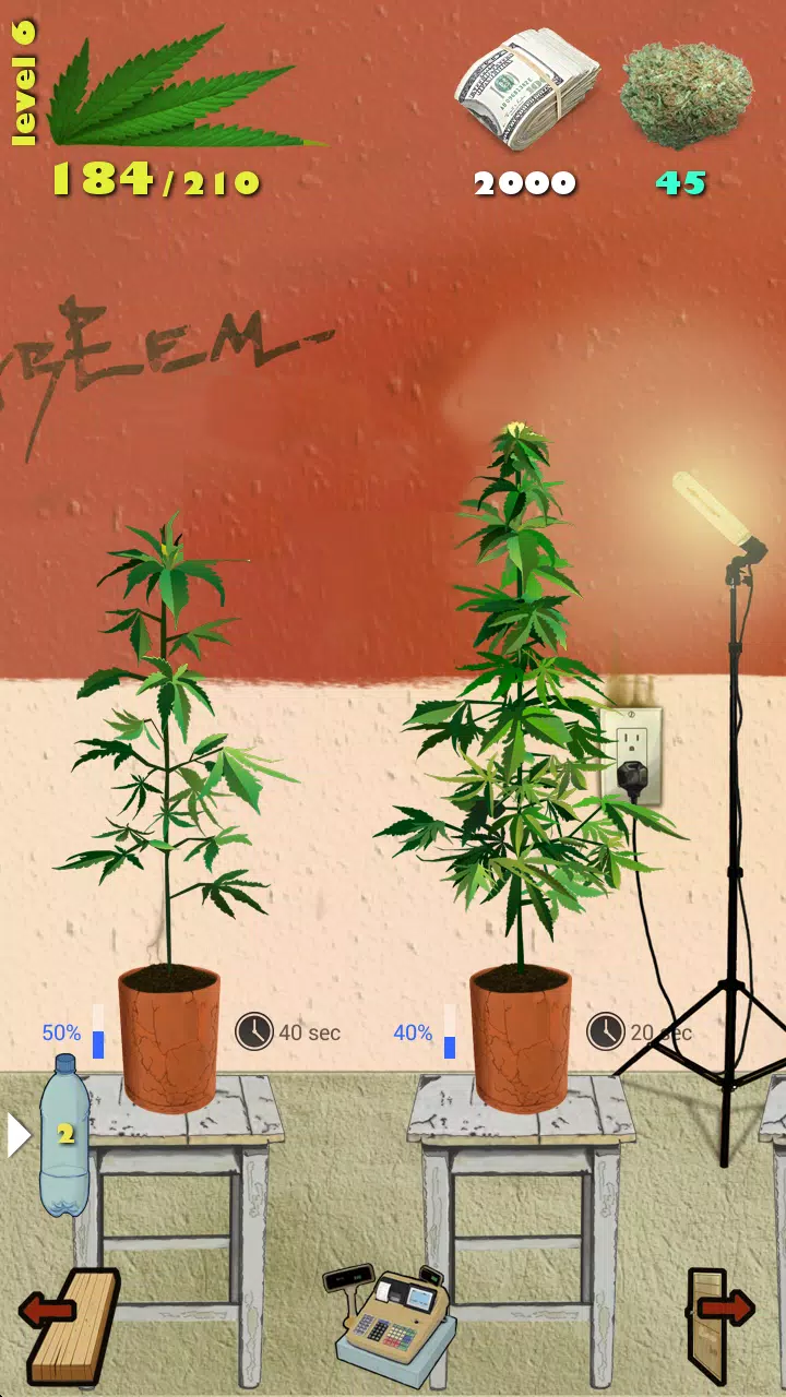 Weed Firm Screenshot 1