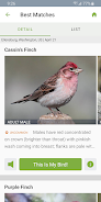 Cornell LabによるMerlin Bird ID スクリーンショット 1