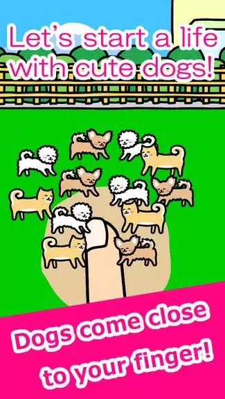 Play with Dogs - relaxing game應用截圖第0張