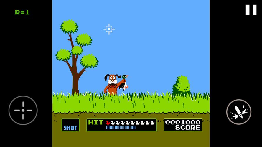 Duck Hunt Zrzut ekranu 1