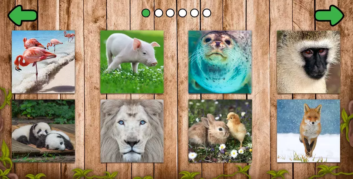 Animal puzzle games offline Schermafbeelding 1