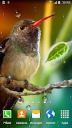 Hummingbirds Live Wallpaper Screenshot 0