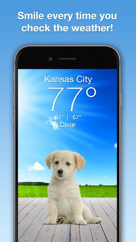 Weather Puppy - App & Widget स्क्रीनशॉट 0