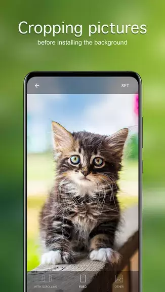 Hintergrundbilder Katzen 4K Screenshot 3