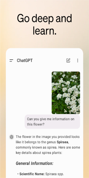 ChatGPT應用截圖第2張