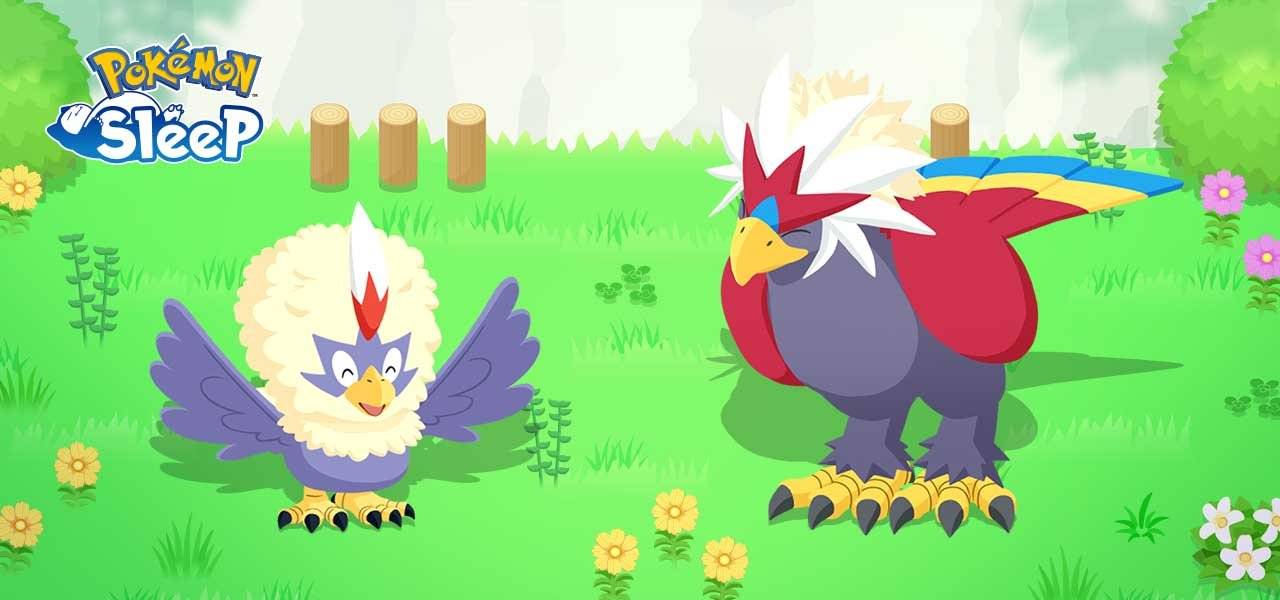 Rufflet dan Braviary Sertai Pokemon Sleep Encounters pada bulan Januari