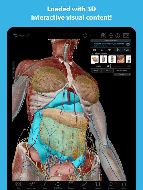 Human Anatomy Atlas 2023 ภาพหน้าจอ 0