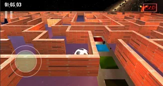 3D Maze Game ( Bhul Bhulaiya) Captura de pantalla 3