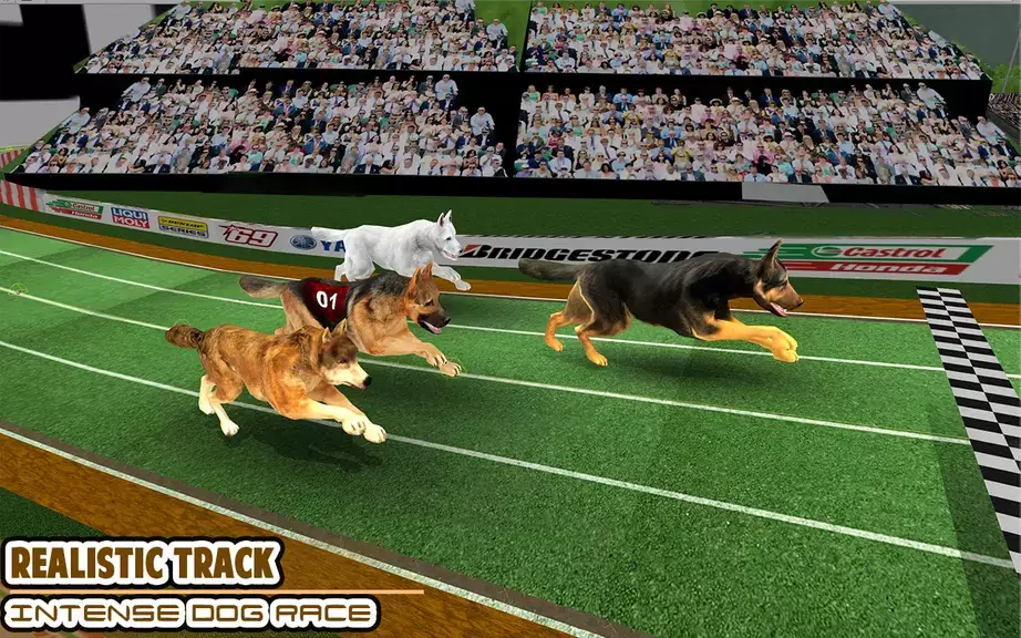 Dog racing games - dog game 3d Ảnh chụp màn hình 0