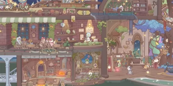 Cats & Soup startet kuscheliges Kochabenteuer in den USA