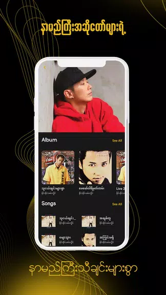 Schermata ရွှေနားဆင် Myanmar Audio Books 3