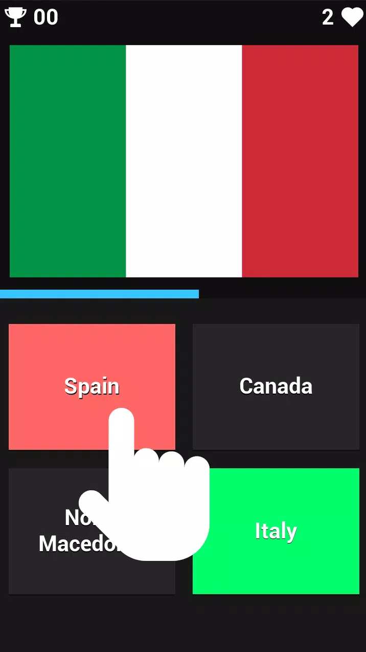 FLAG GUESSER スクリーンショット 1