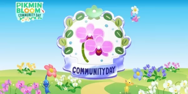 https://img.actcv.com/uploads/54/6954e62be136a.webp
