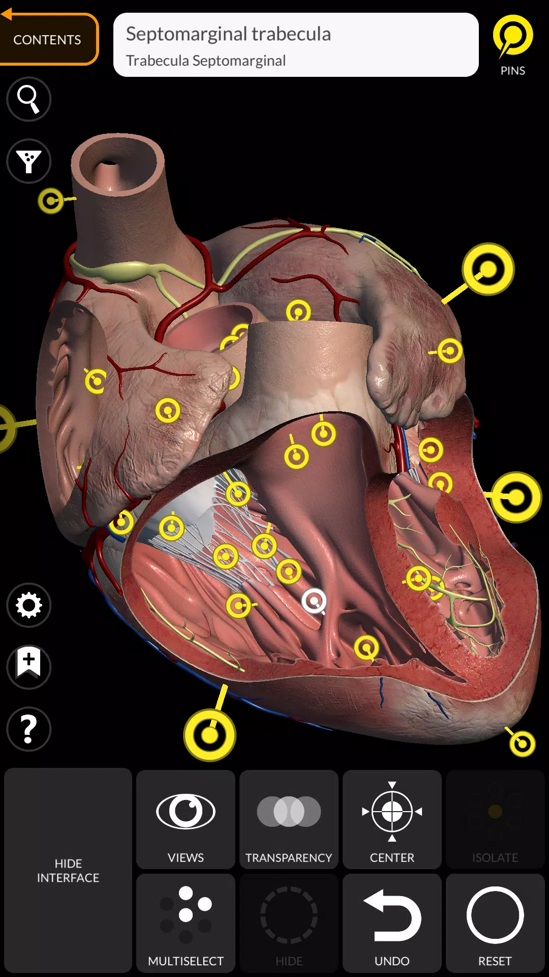 Anatomy 3D Atlas Screenshot 2