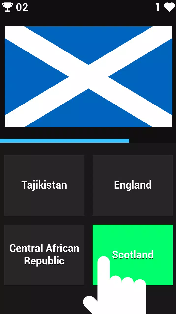 FLAG GUESSER スクリーンショット 0
