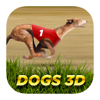 Dogs3D Races Betting