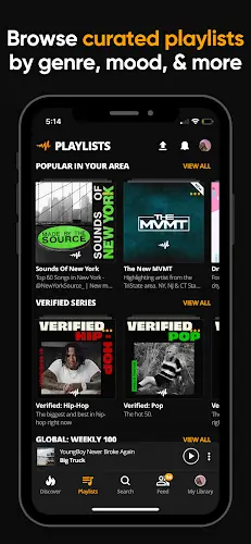 Audiomack: Music Downloader Tangkapan skrin 3