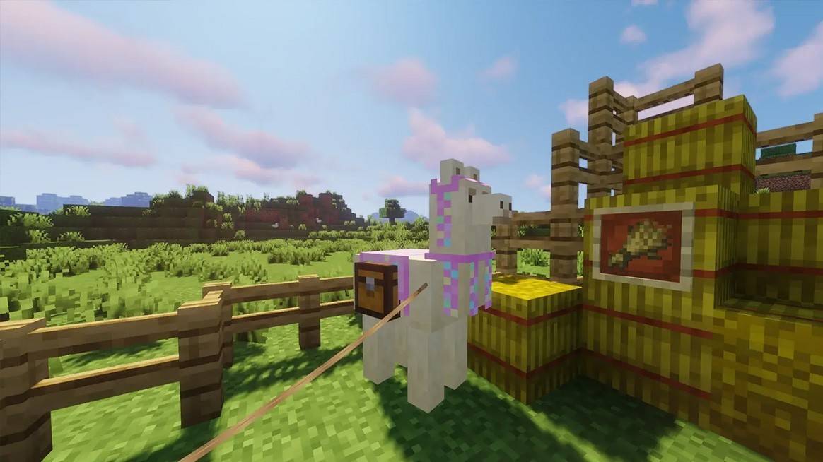 Llama with Lead