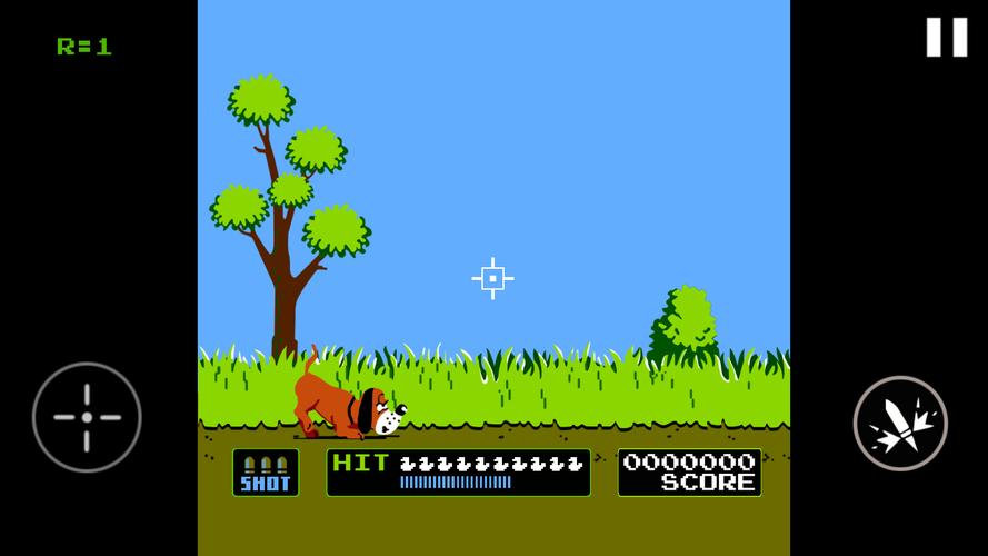 Duck Hunt Скриншот 3