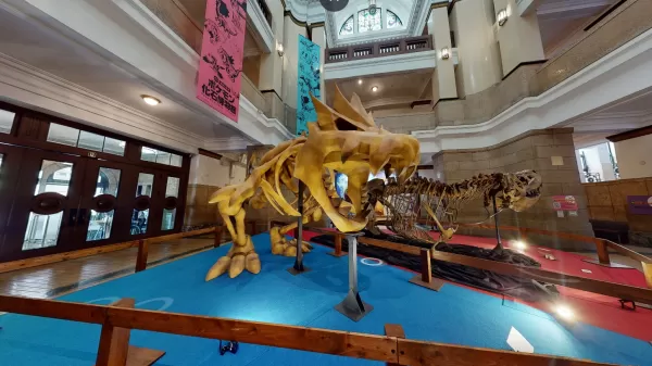 Pokémon Fossil Museum to Showcase Real and Fake Fossils in U.S. Next Year