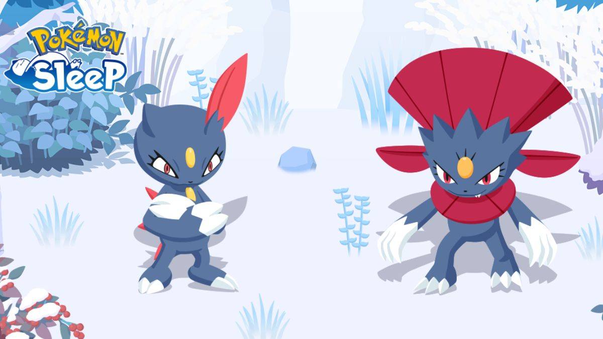 Unlock Sneasel Evolution in Pokémon Sleep