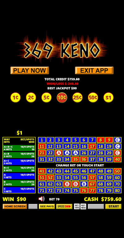369 Vegas Style Keno Capture d'écran 1
