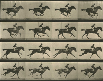 Run Muybridge, run! Schermafbeelding 0