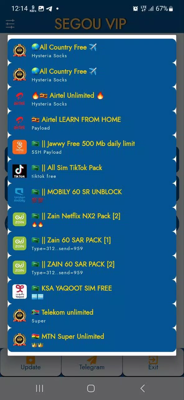 SEGOU VIP VPN Tangkapan skrin 2