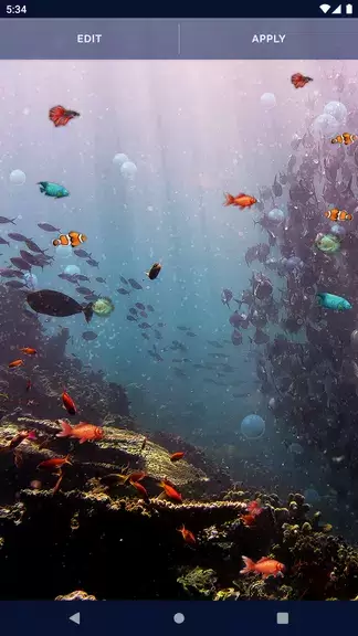 Ocean Fish Live Wallpaper 4K ภาพหน้าจอ 3