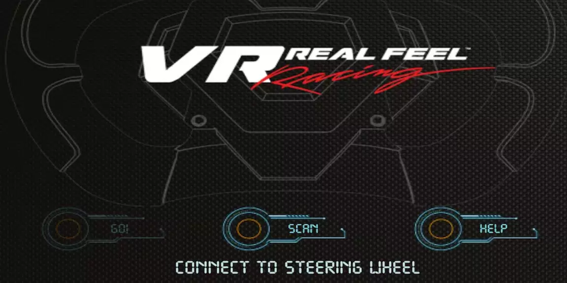 VR Real Feel Racing应用截图第0张