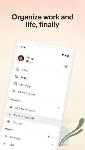 Todoist：待办列表&计划应用截图第0张