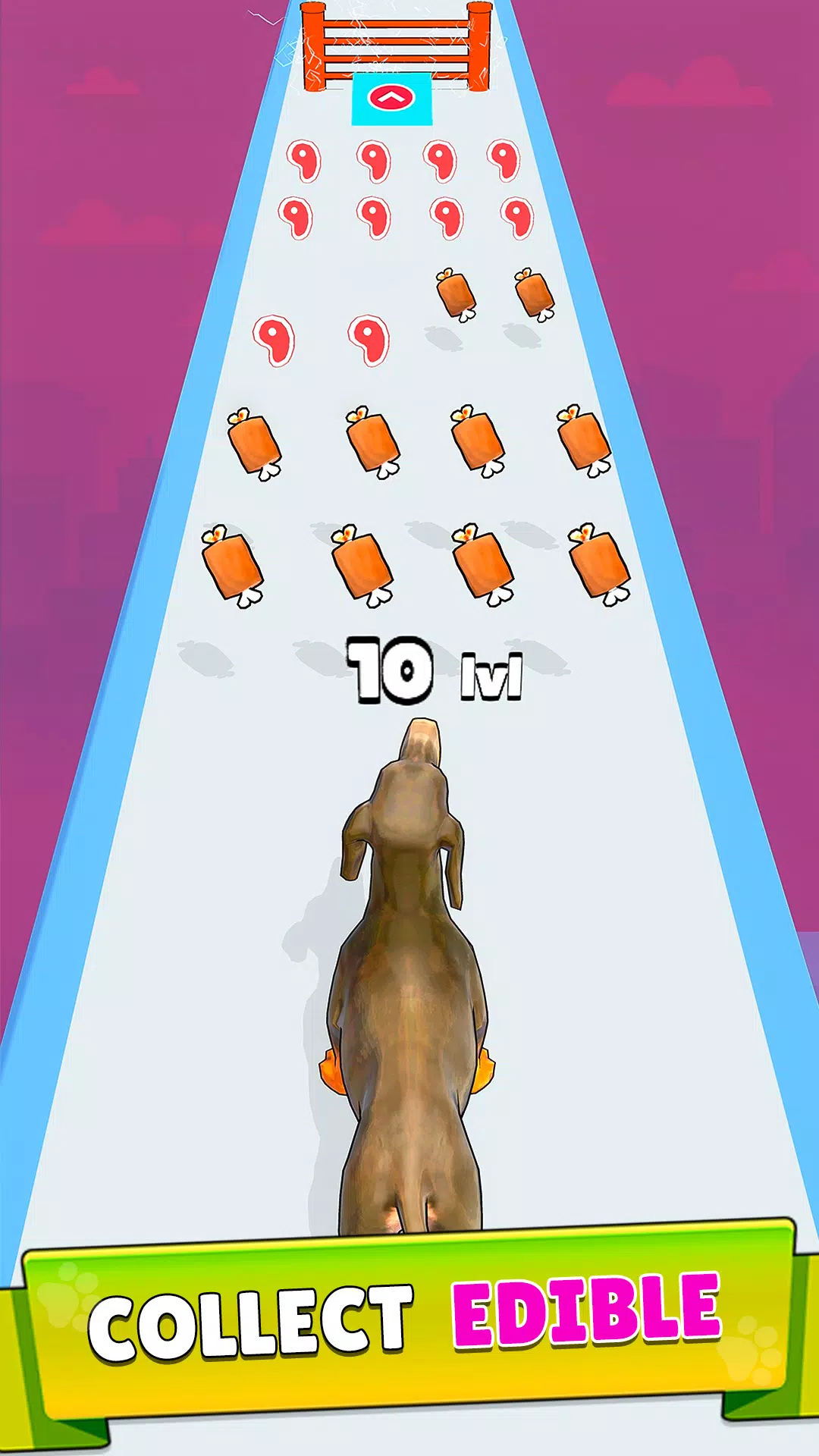 Dog Evolution Run Скриншот 2