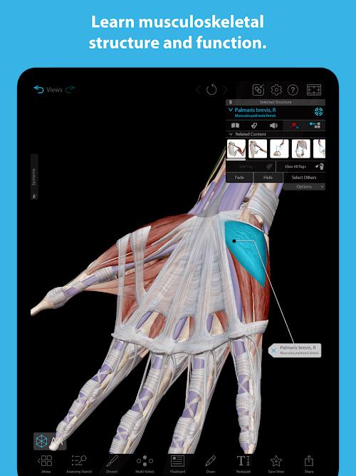 Human Anatomy Atlas 2023 ภาพหน้าจอ 3